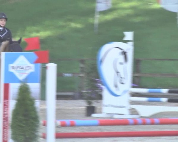 Reitturnier Sins-Attenschwil 2018