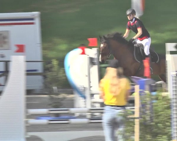 Reitturnier Sins-Attenschwil 2018