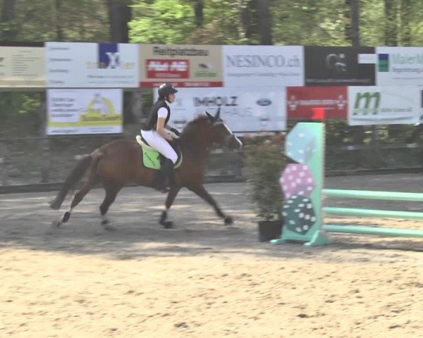 Reitturnier Sins-Attenschwil 2018