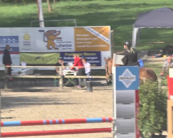 Reitturnier Sins-Attenschwil 2018