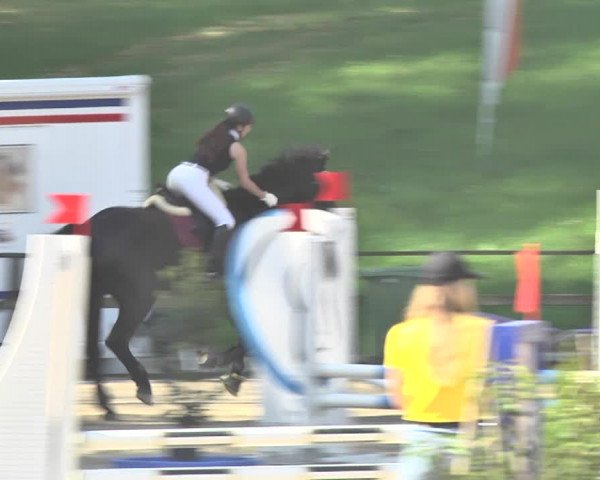 Reitturnier Sins-Attenschwil 2018