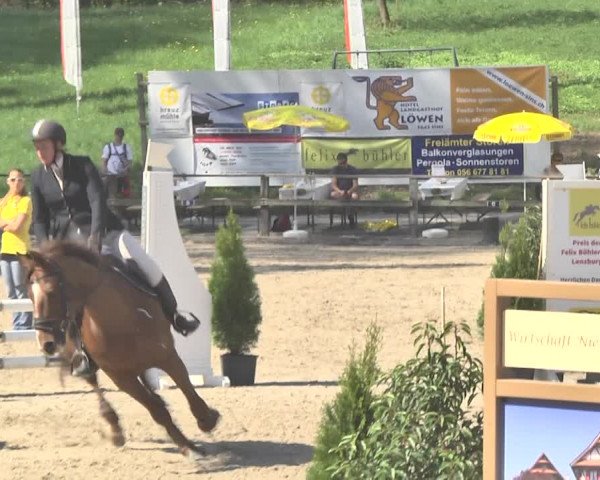 Reitturnier Sins-Attenschwil 2018