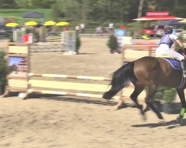 Reitturnier Sins-Attenschwil 2018