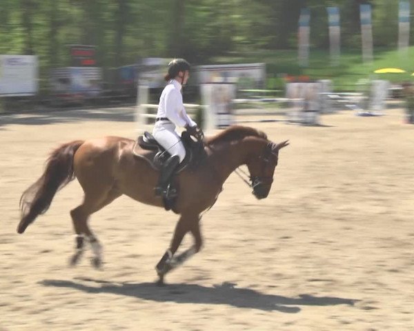 Reitturnier Sins-Attenschwil 2018