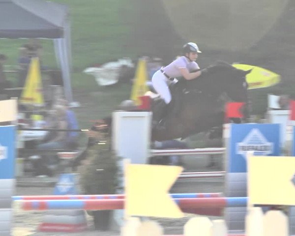 Reitturnier Sins-Attenschwil 2018