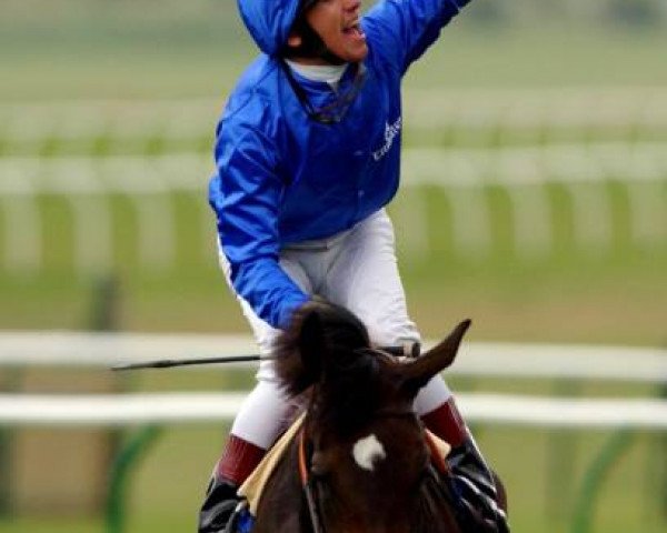 broodmare Kazzia xx (Thoroughbred, 1999, from Zinaad xx)
