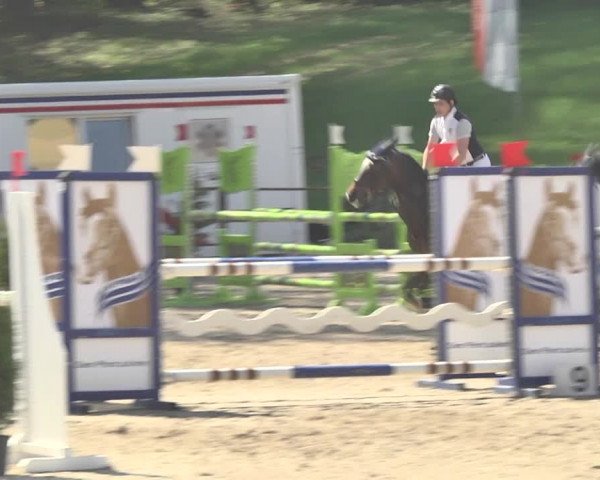 Reitturnier Sins-Attenschwil 2018