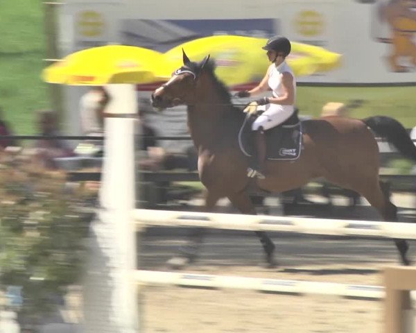 Reitturnier Sins-Attenschwil 2018