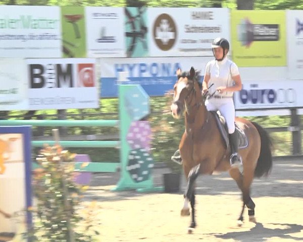 Reitturnier Sins-Attenschwil 2018
