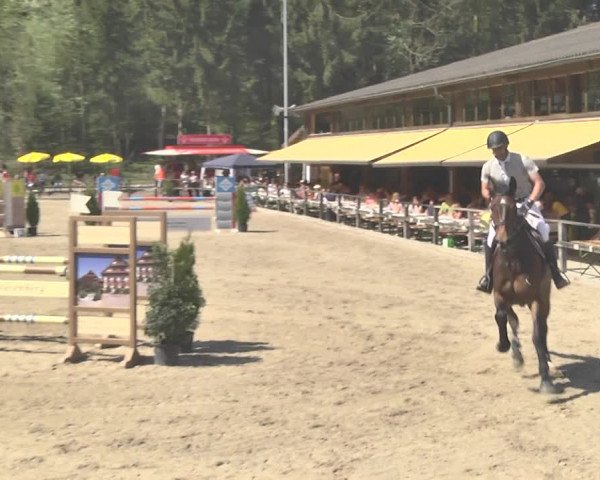 Reitturnier Sins-Attenschwil 2018