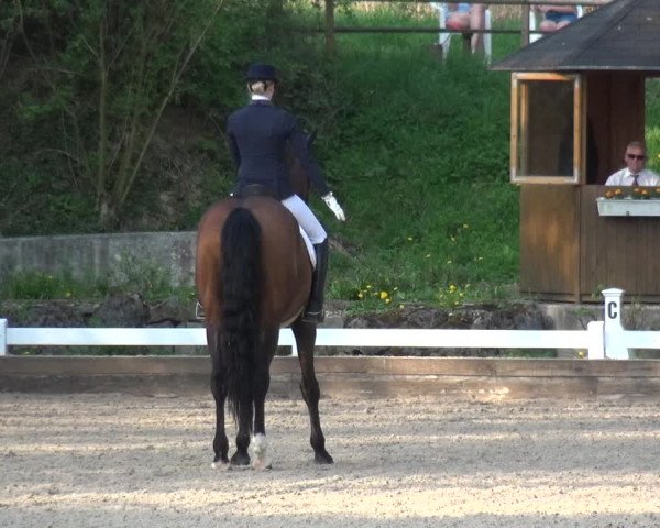 Reitturnier Mettmann - Reitanlage Löckenhoff 2018
