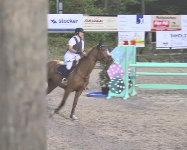 Reitturnier Sins-Attenschwil 2018