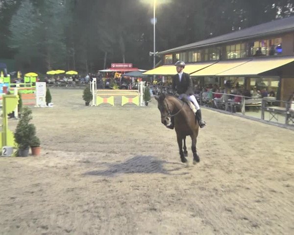 Reitturnier Sins-Attenschwil 2018