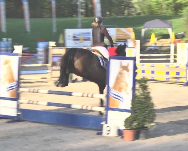 Reitturnier Sins-Attenschwil 2018
