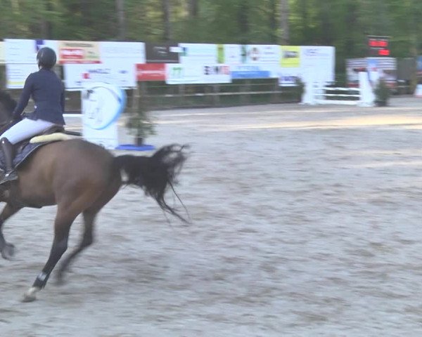 Reitturnier Sins-Attenschwil 2018