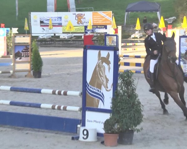 Reitturnier Sins-Attenschwil 2018