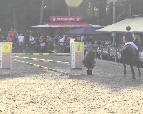 Reitturnier Sins-Attenschwil 2018