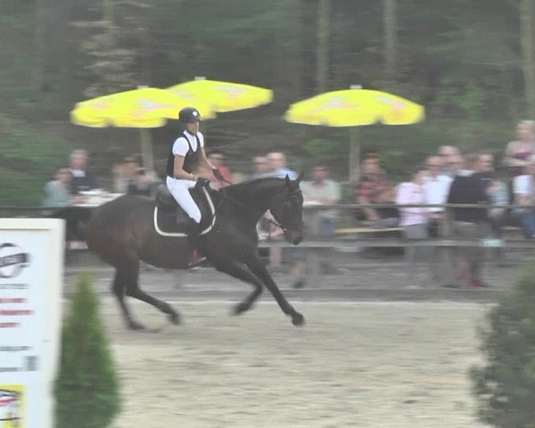 Reitturnier Sins-Attenschwil 2018