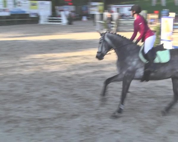 Reitturnier Sins-Attenschwil 2018