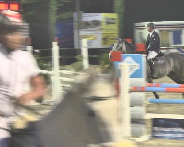 Reitturnier Sins-Attenschwil 2018