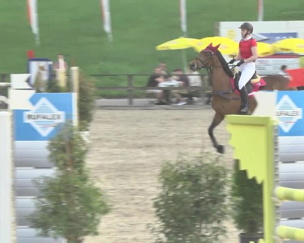 Reitturnier Sins-Attenschwil 2018