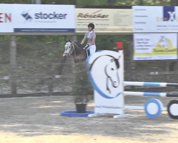 Reitturnier Sins-Attenschwil 2018