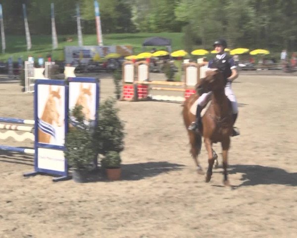 Reitturnier Sins-Attenschwil 2018