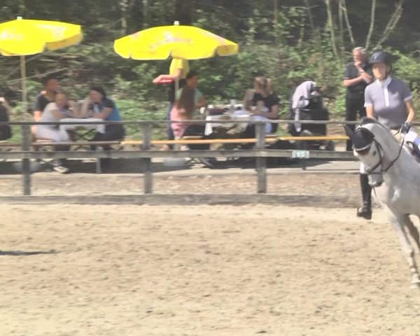 Reitturnier Sins-Attenschwil 2018