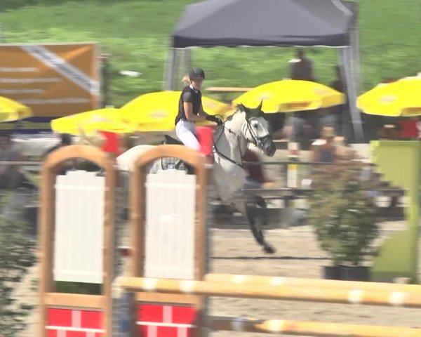 Reitturnier Sins-Attenschwil 2018