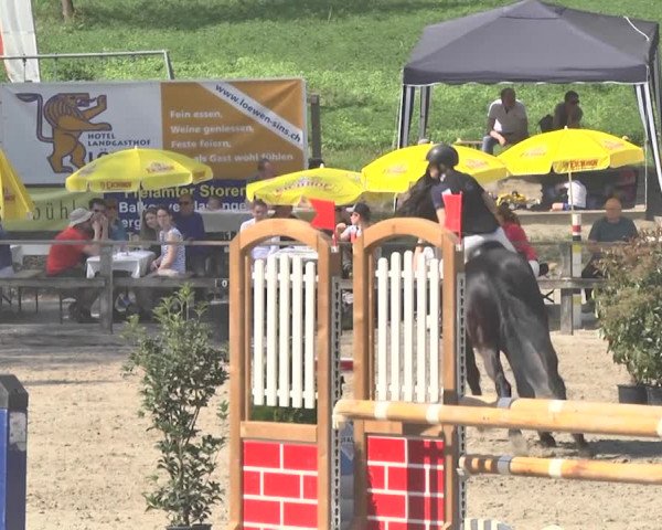 Reitturnier Sins-Attenschwil 2018