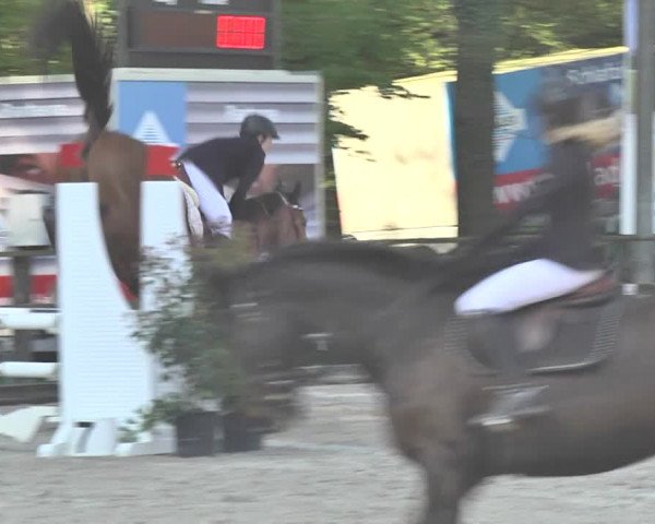 Reitturnier Sins-Attenschwil 2018