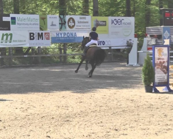 Reitturnier Sins-Attenschwil 2018