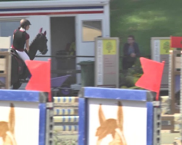 Reitturnier Sins-Attenschwil 2018