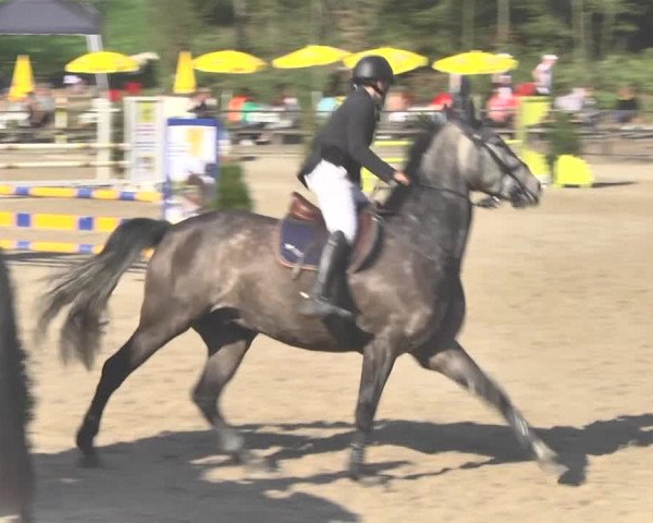 Reitturnier Sins-Attenschwil 2018