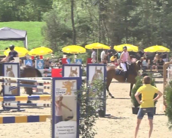 Reitturnier Sins-Attenschwil 2018