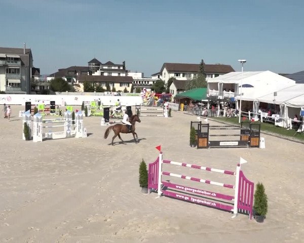 Reitturnier Horn 2018
