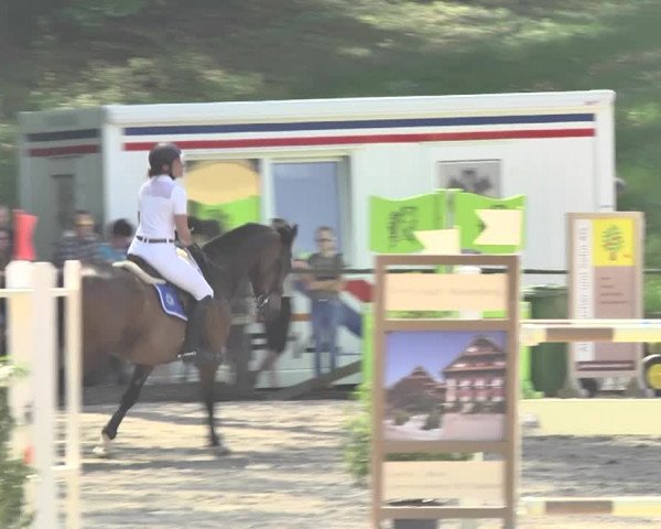 Reitturnier Sins-Attenschwil 2018
