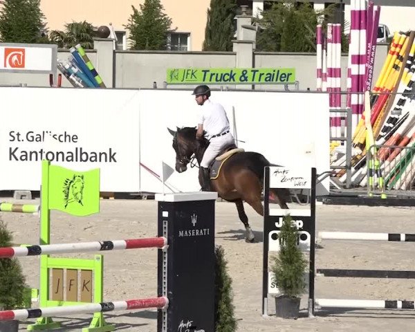 Reitturnier Horn 2018