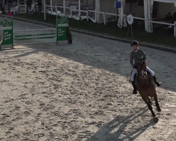 Reitturnier Horn 2018