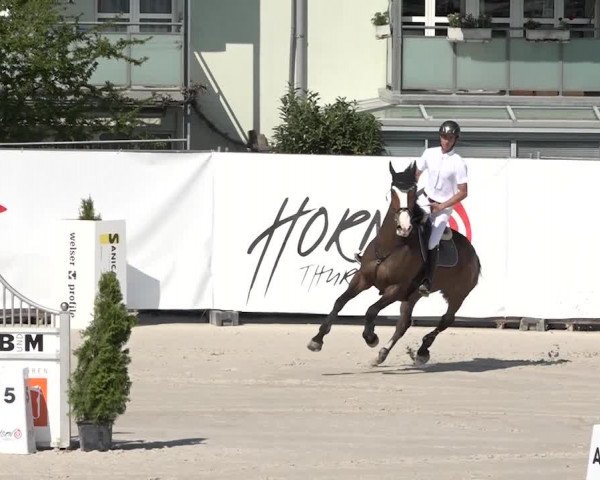 Reitturnier Horn 2018