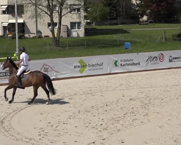 Reitturnier Horn 2018