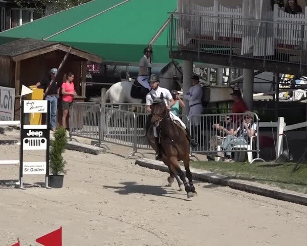 Reitturnier Horn 2018