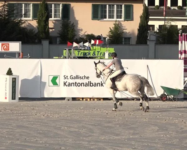 Reitturnier Horn 2018