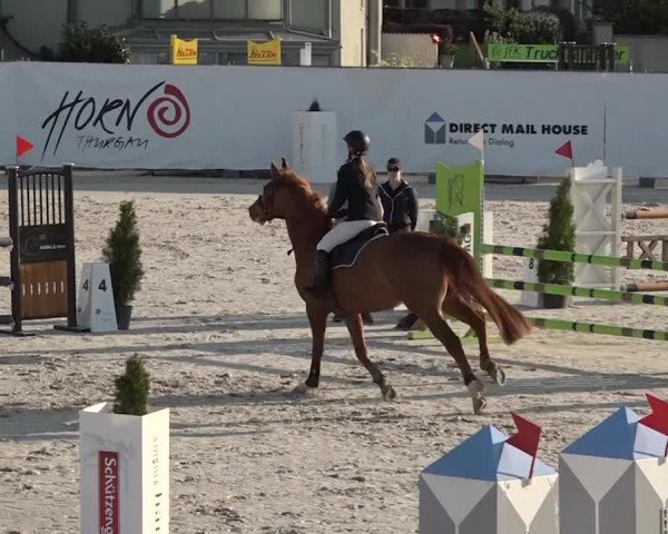 Reitturnier Horn 2018