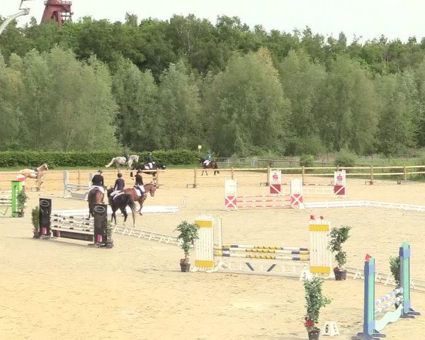 Reitturnier Kamen 2018