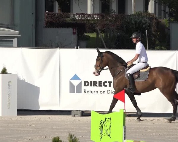 Reitturnier Horn 2018