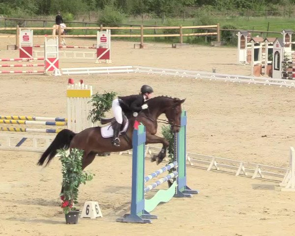 Reitturnier Kamen 2018