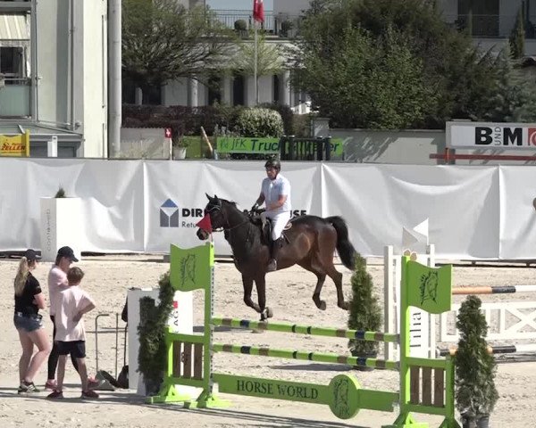 Reitturnier Horn 2018