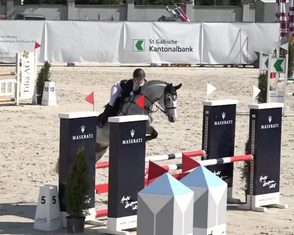 Reitturnier Horn 2018