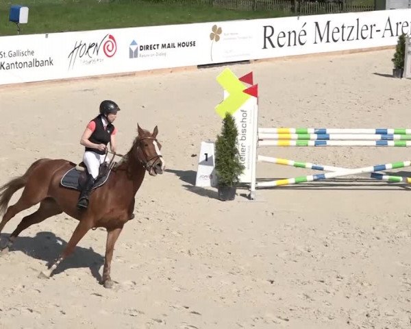 Reitturnier Horn 2018